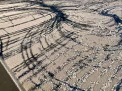 Beautiful Art Deco Rug 6x8