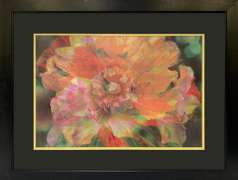 Beautiful Photogravure of a Colorful Flower