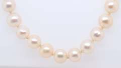 Fresh Water Pearl Necklace w Gold Clasp