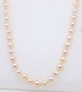 Fresh Water Pearl Necklace w Gold Clasp