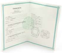 Tiffany & Co Cushion Diamond Solesto Double Frame Engagement Ring