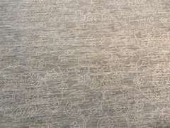 EXQUISITE MUTED RUG 8x10