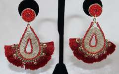 Sexy looking Earrings