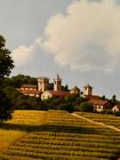 "Vigneti"Art critic L. Venturini states, “Admiring the paintings of Marco Di Nieri Marco Di Nieri "Vigneti"