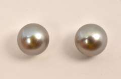 Lovely Silver Gray Pearl Stud Earrings