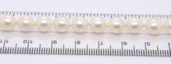 Simple Fresh Water Pearl Necklace