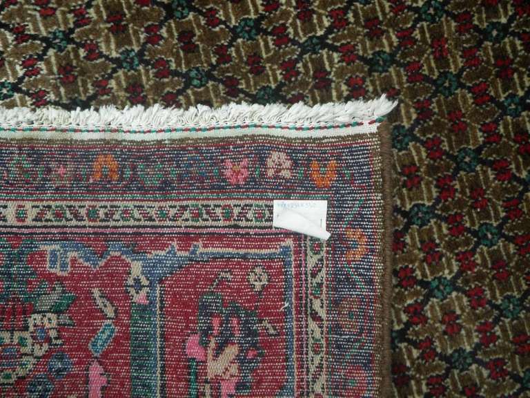 Authentic Persian Bakhtiari 5.4x9.10