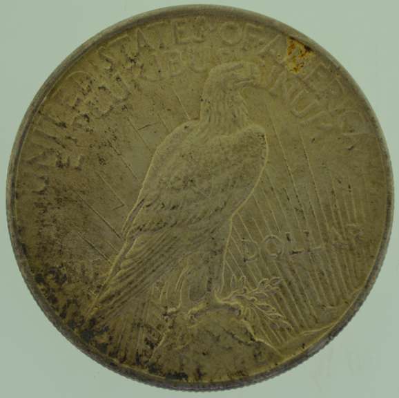 1924 Peace Silver Dollar