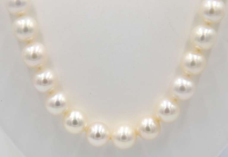 Lovely Fresh Water Pearl Necklace