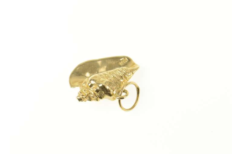 14K Yellow Gold 3D Conch Shell Ocean Sea Beach Motif Charm/Pendant