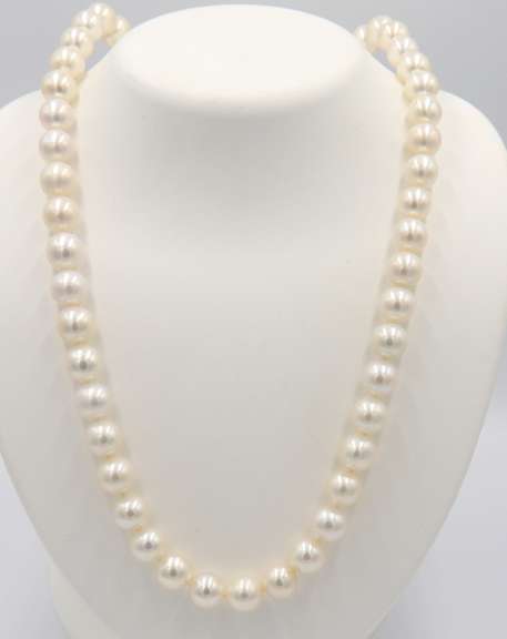 Lovely Fresh Water Pearl Necklace