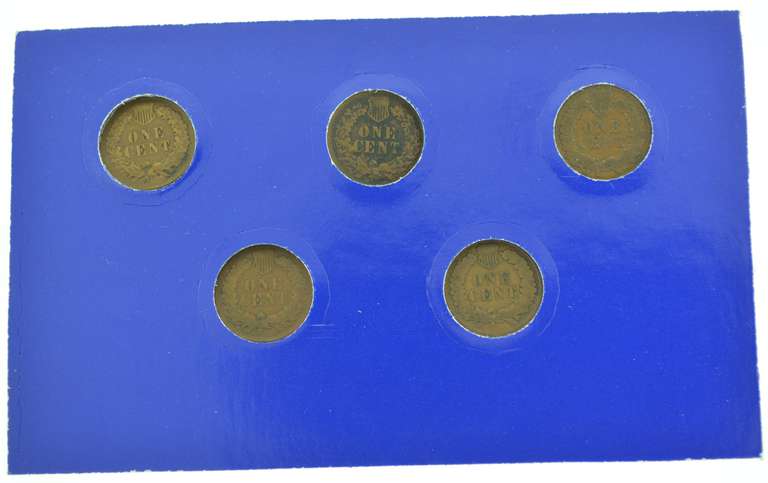 Indian Head Penny Collection