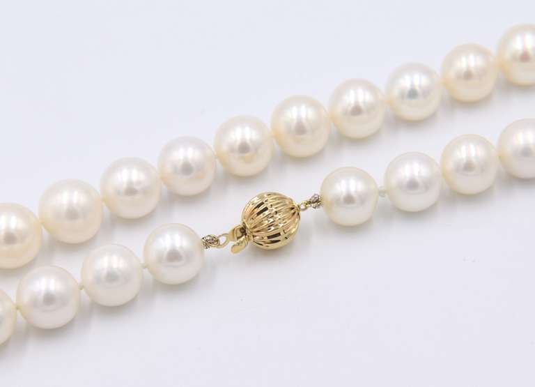 Lovely Fresh Water Pearl Necklace