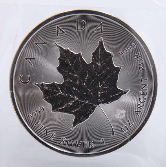 2021 1OZ Silver Maple Leaf Coin