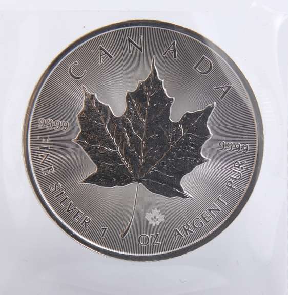 2021 1OZ Silver Maple Leaf Coin