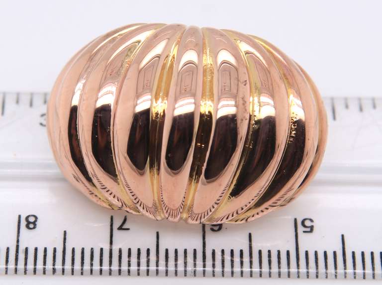 Handsome Yellow Gold Carved Shrimp Dome Clip on Earrings