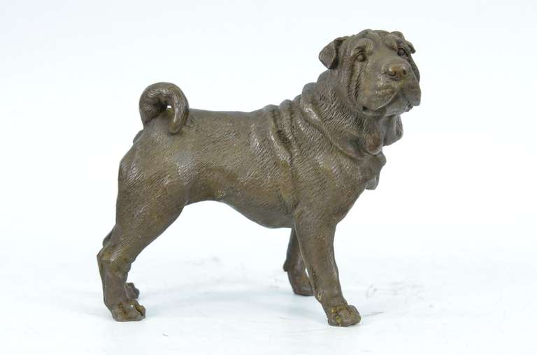 Shar Pei Dog Bronze Sculpture