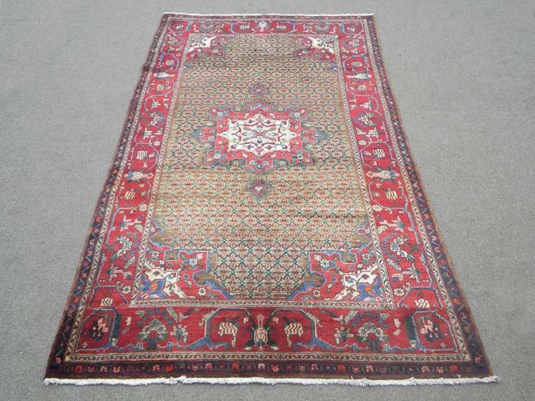 Authentic Persian Bakhtiari 5.4x9.10