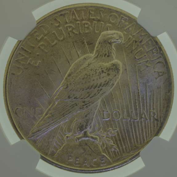 1925 Silver Dollar NGC MS64