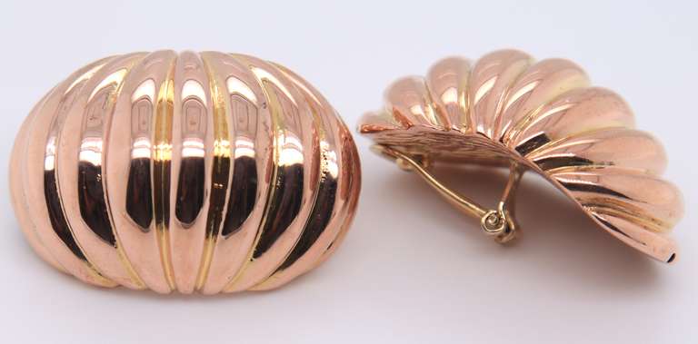 Handsome Yellow Gold Carved Shrimp Dome Clip on Earrings