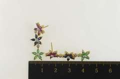 14K Yellow Gold Emerald Sapphire Diamond Flower Dangle Earrings