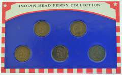 Indian Head Penny Collection