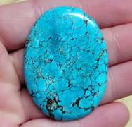 Striking well marbled 61.5ct Turquoise cabochon