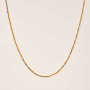 Lengthy Singapore Link Necklace