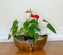 Large Decorative Hand Painted Ceramic Bowl With Texture and Floral Pattern