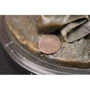 Shy Girl Bronze Sculpture