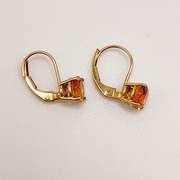 14kt Yellow Gold & Citrine Earrings