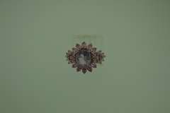 Sterling Silver Amethyst Ring