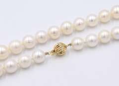 Lovely Fresh Water Pearl Necklace