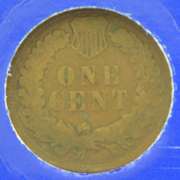 Indian Head Penny Collection