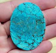 Striking well marbled 61.5ct Turquoise cabochon