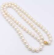 Lovely Fresh Water Pearl Necklace