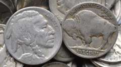 247 Unsearched Part Date Buffalo Head Nickels