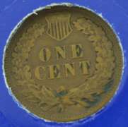Indian Head Penny Collection