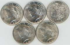 5 Diff. Choice BU Morgan & Peace Silver Dollars 1921 to 1925