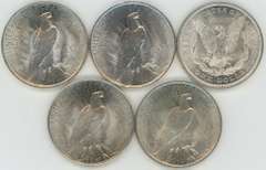 5 Diff. Choice BU Morgan & Peace Silver Dollars 1921 to 1925