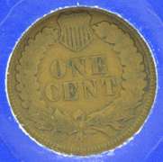 Indian Head Penny Collection