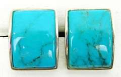Sterling Blue Turquoise Earrings