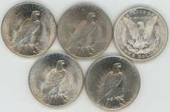 5 Diff. Choice BU Morgan & Peace Silver Dollars 1921 to 1925