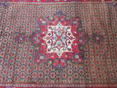 Authentic Persian Bakhtiari 5.4x9.10