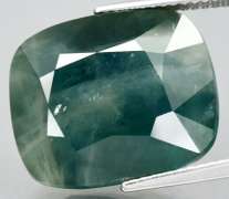 Huge! 25.67ct rich green Sapphire -heated only