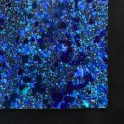 Wyland, "Splash 32" Framed Original Watercolor Painting Hand Signed with Letter of Authenticity.