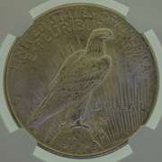 1925 Silver Dollar NGC MS64