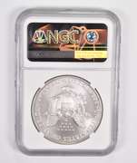 MS70 2001 American Silver Eagle - Graded NGC