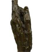 You got it Bronze Sculpture