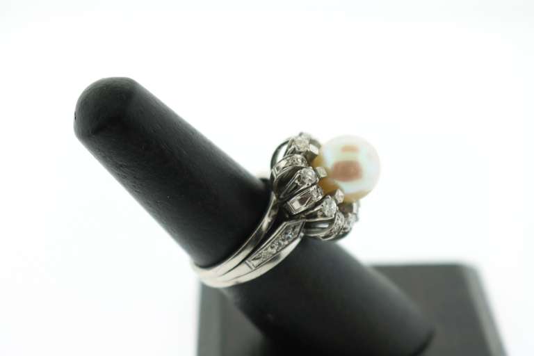 Perfect Southsea Crème Pearl 18k White Gold Ring surrounded by Diamonds